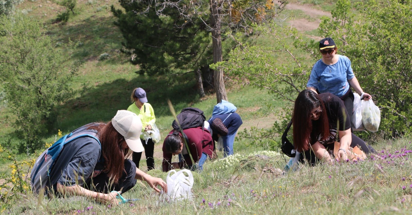 ELMADAĞ BELEDİYESİ & EL- EMEK KADIN KOOPERATİFİ İŞBİRLİĞİ İLE ŞİFALI BİTKİLERİ TOPLAMAK İÇİN KADINLARIMIZLA BİR ARAYA GELDİK.